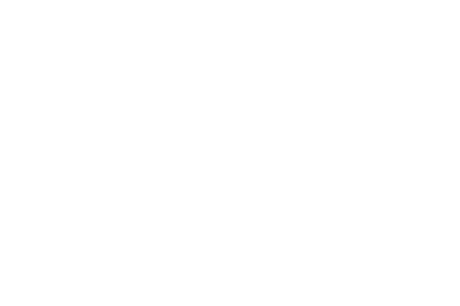 FlyNH Log.