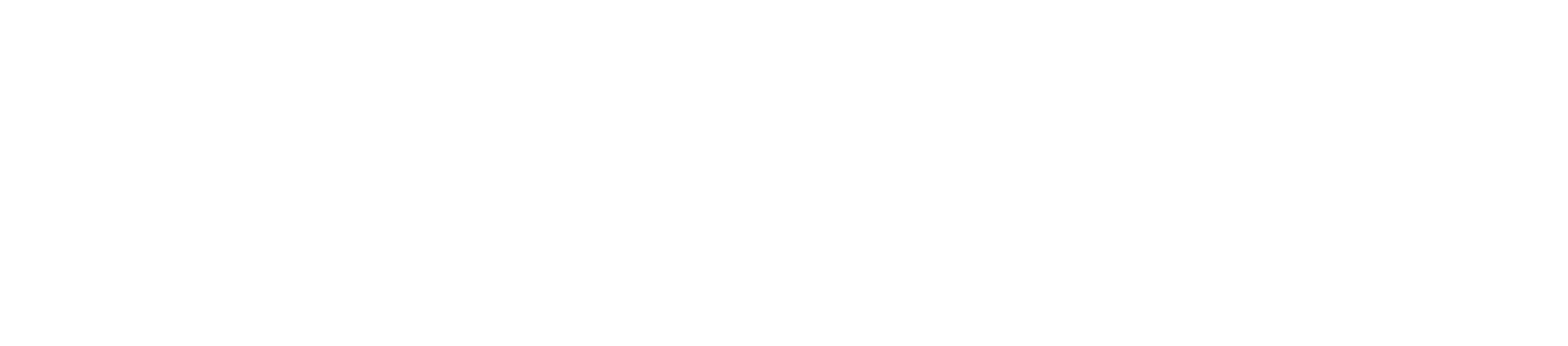 FlyNH LogO HOR White